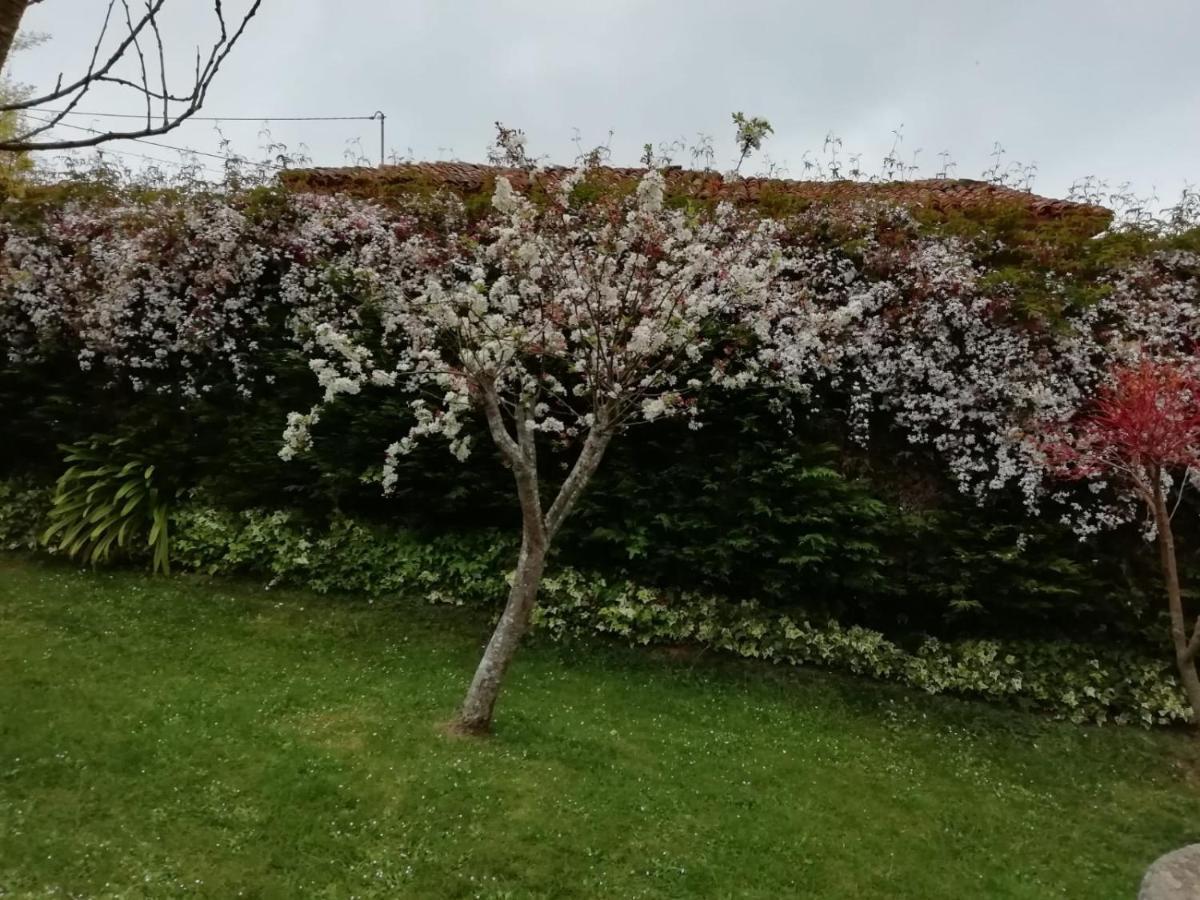 Country house El Oteru I Villaviciosa (Asturias)